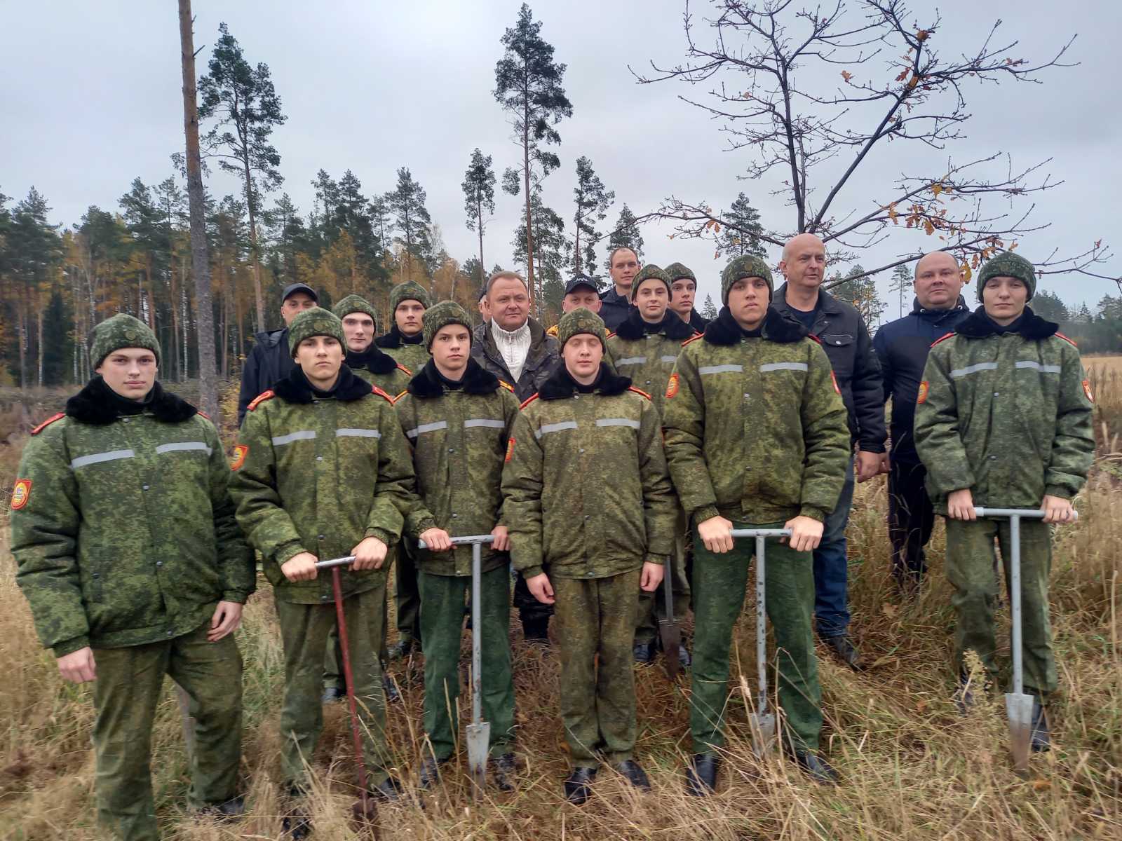 ПОСАДКА ЛЕСА